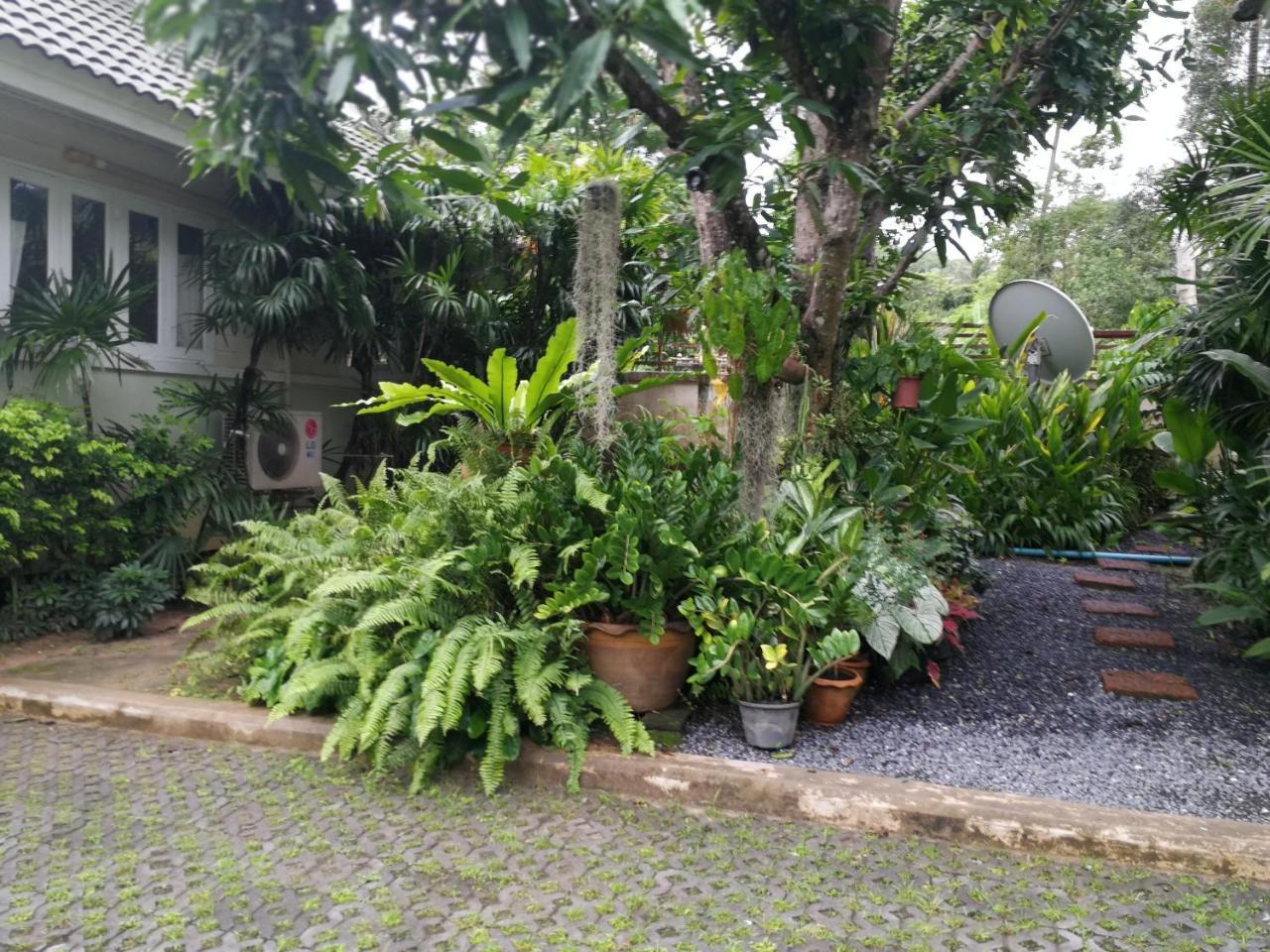 Reuan Phaolai Bophut Bagian luar foto